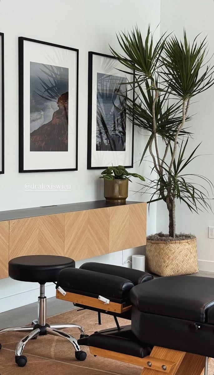Nikau Chiropractic, photo 3