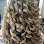 Perfection Beauty Salon