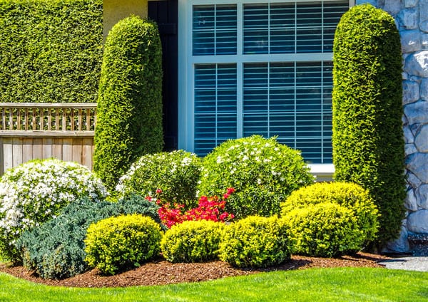 CPC Landscaping Olympia, photo 2