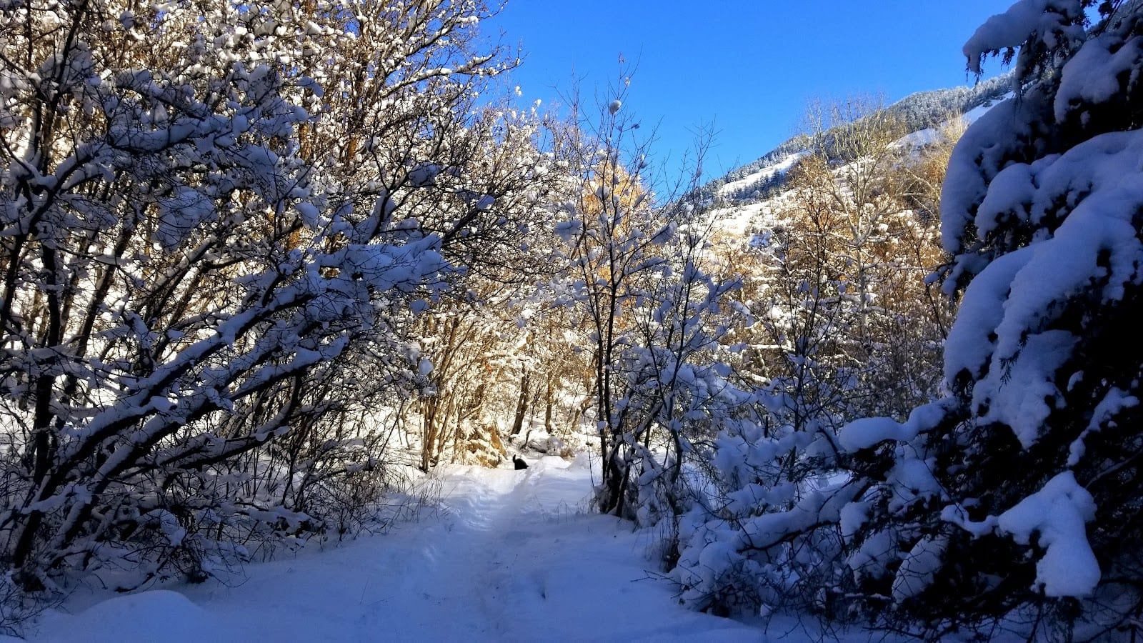 Preston Valley Trail Head, Green Canyon, photo 3
