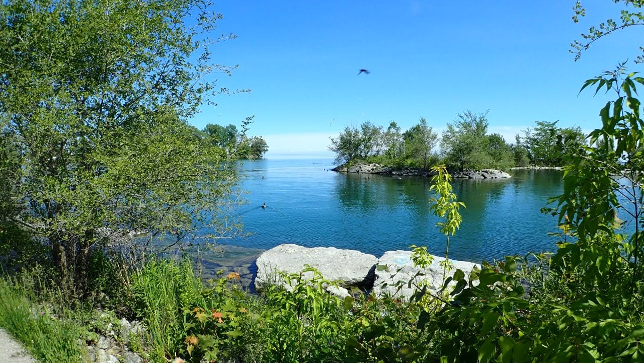 Humber Bay Park West Dog Park