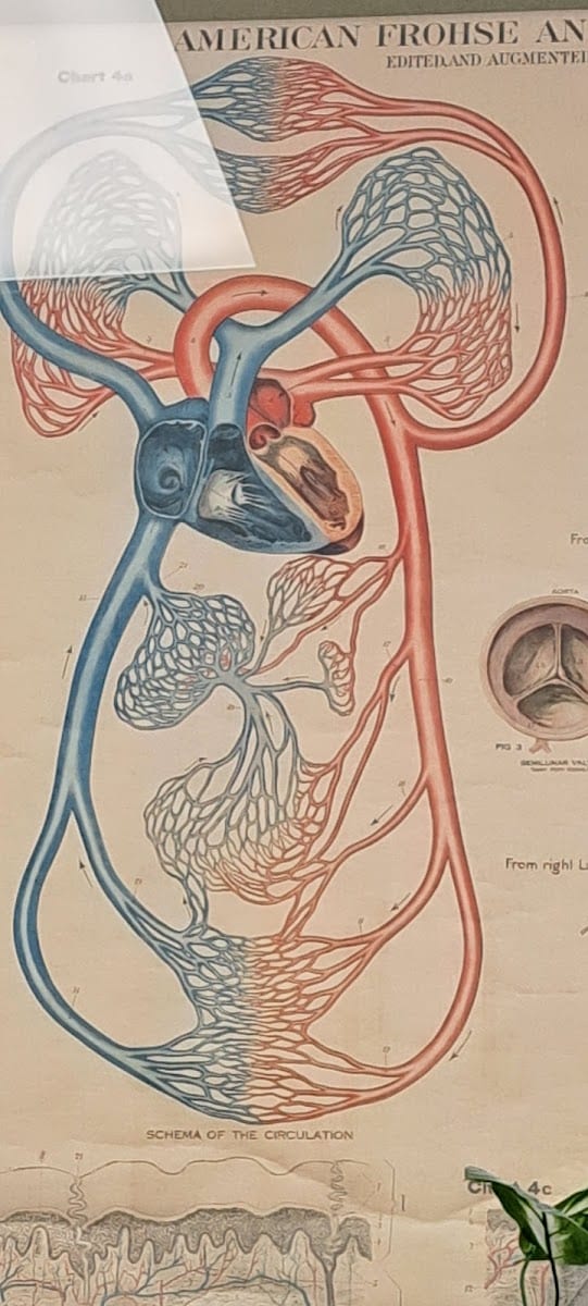 Estevan Del Castillo, MD