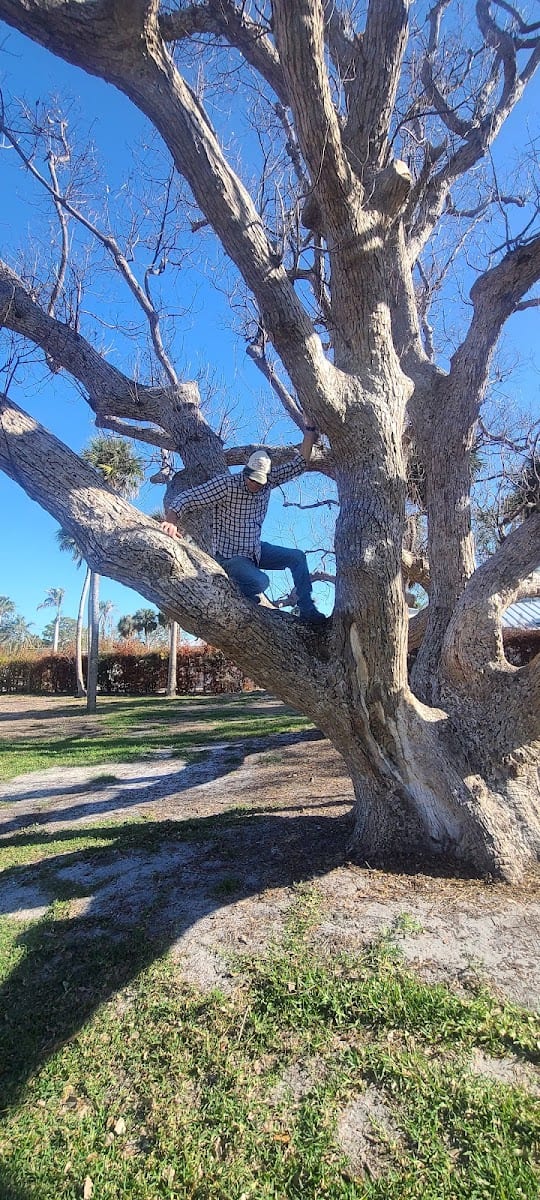 Cherokee Street Park