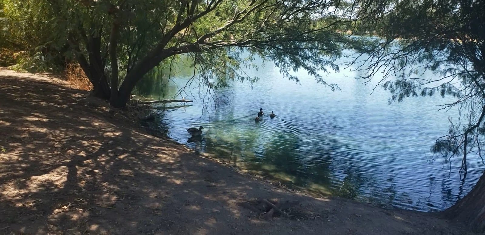Danny Lopez Park, photo 2