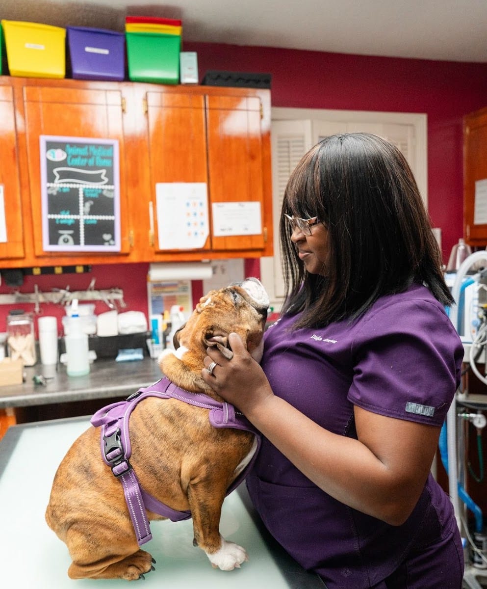 Animal Medical Center of Rome, photo 2