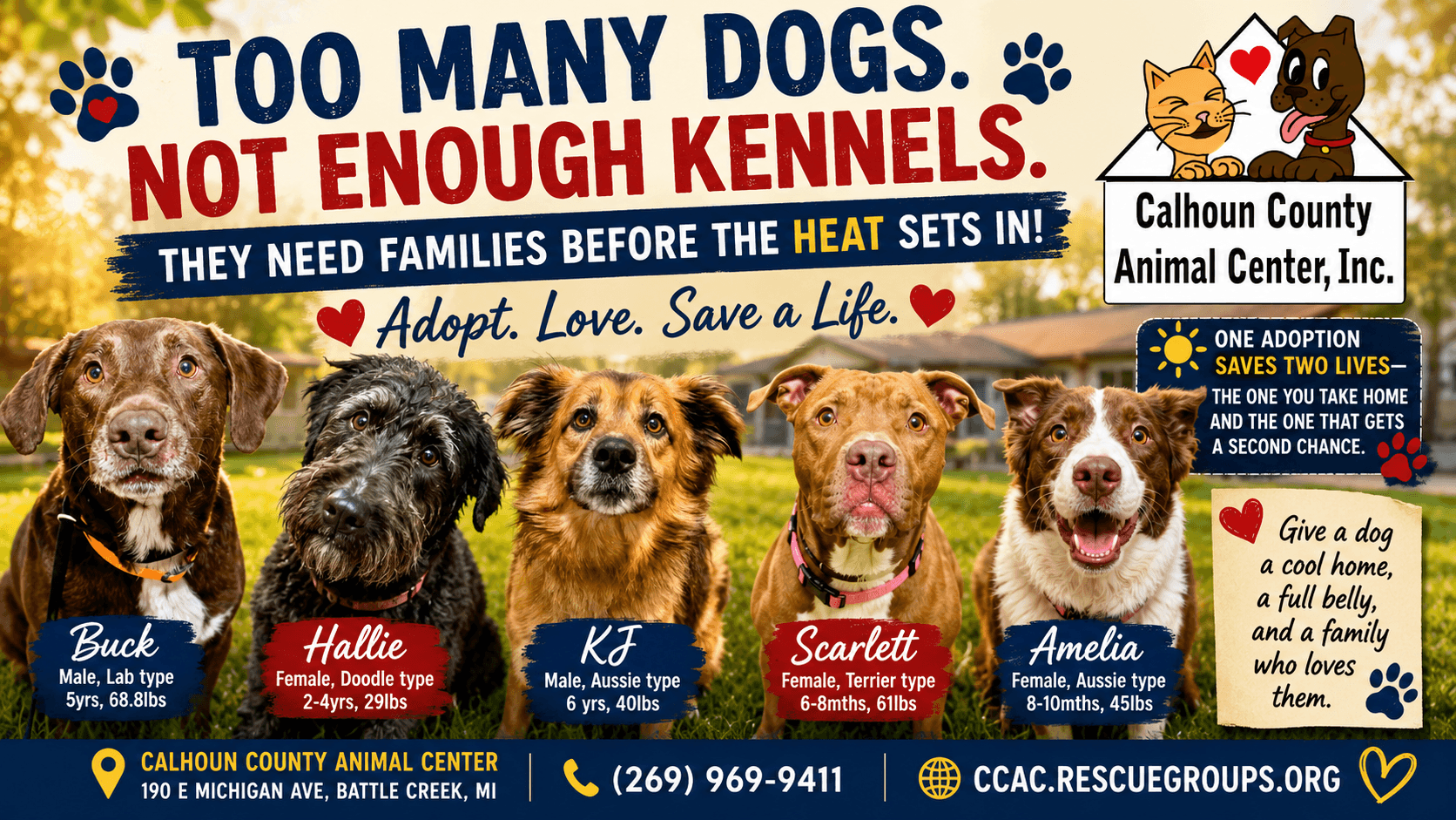 Too Many Dogs. Not Enough Kennels. These Calhoun County Dogs Need Families Before the Heat Sets In.