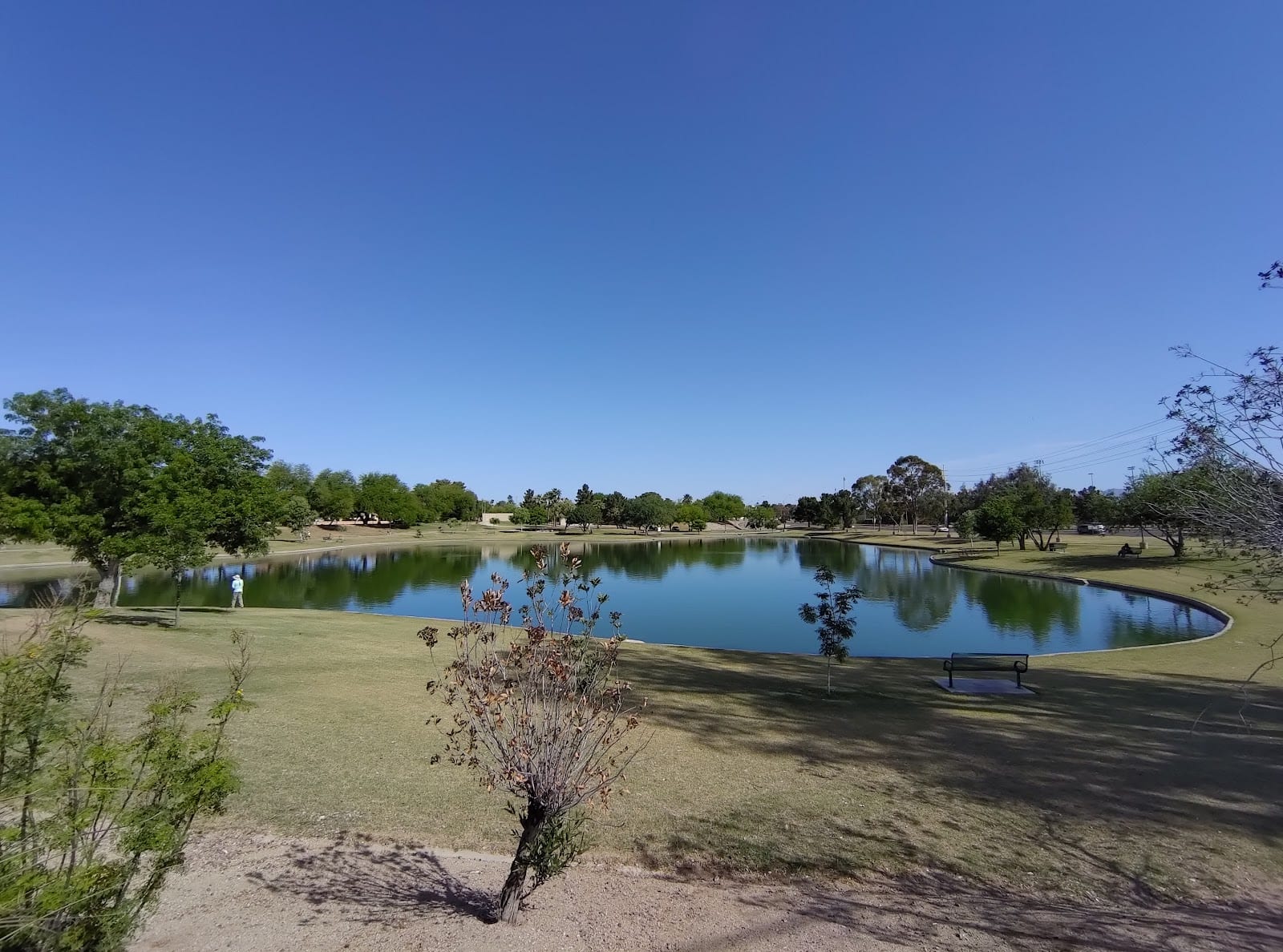 Indian School Park Lake