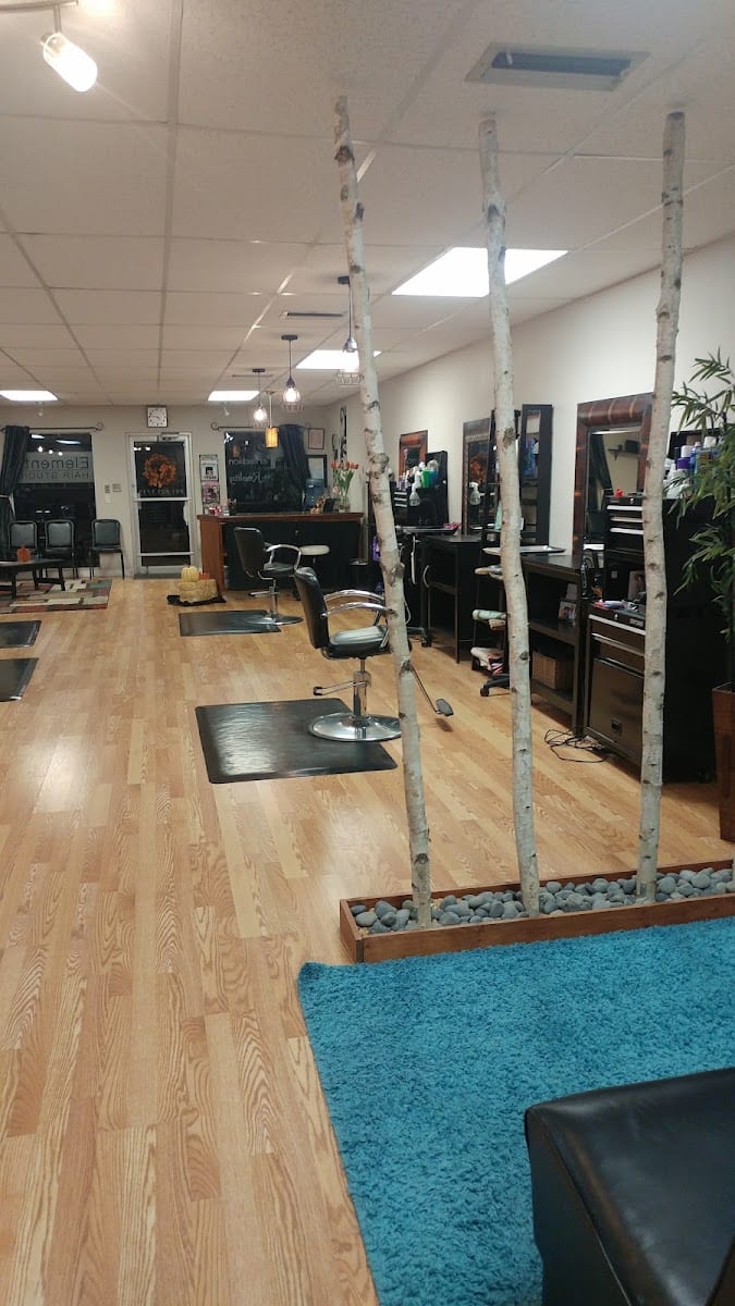Elements Hair Studio, photo 3