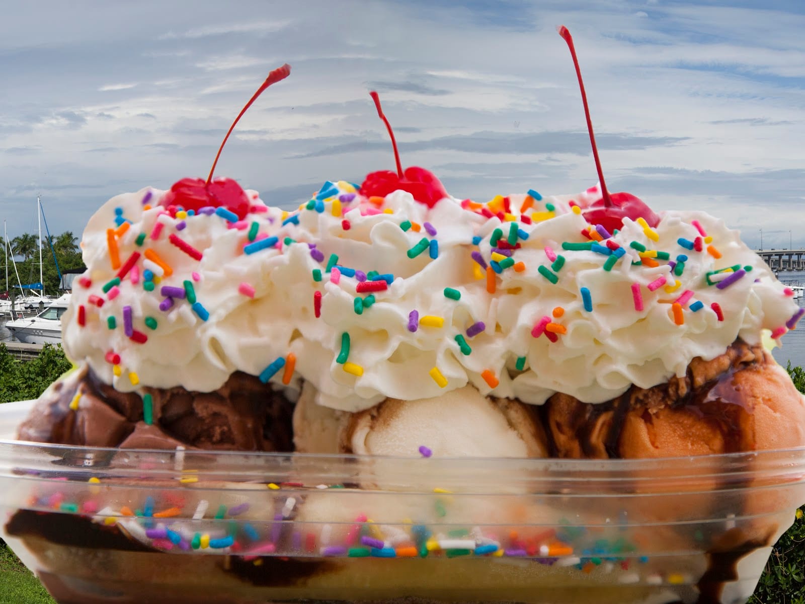 Harbor Scoops, photo 3