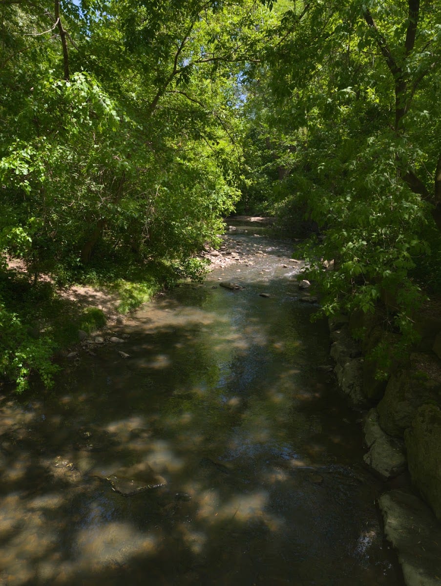 Taylor Creek Dog Park, photo 3