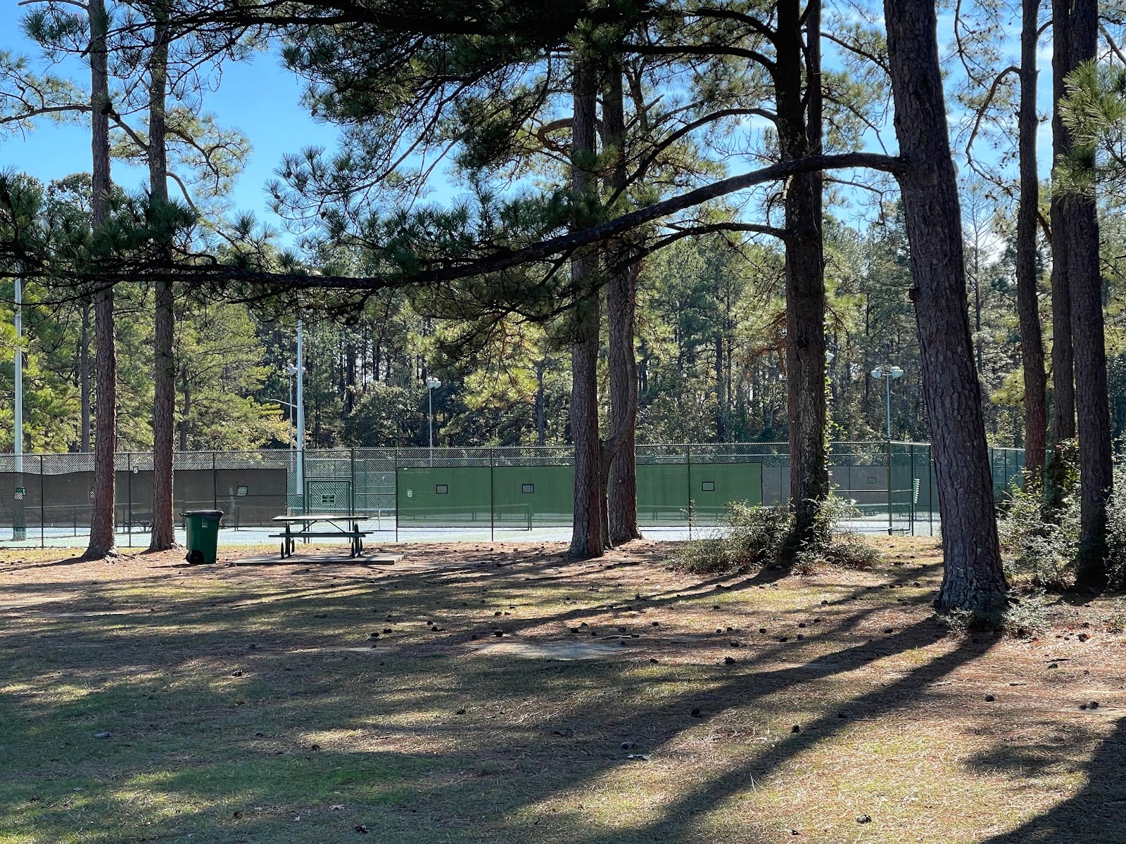 Public Tennis Courts Medal of Honor Park, photo 3