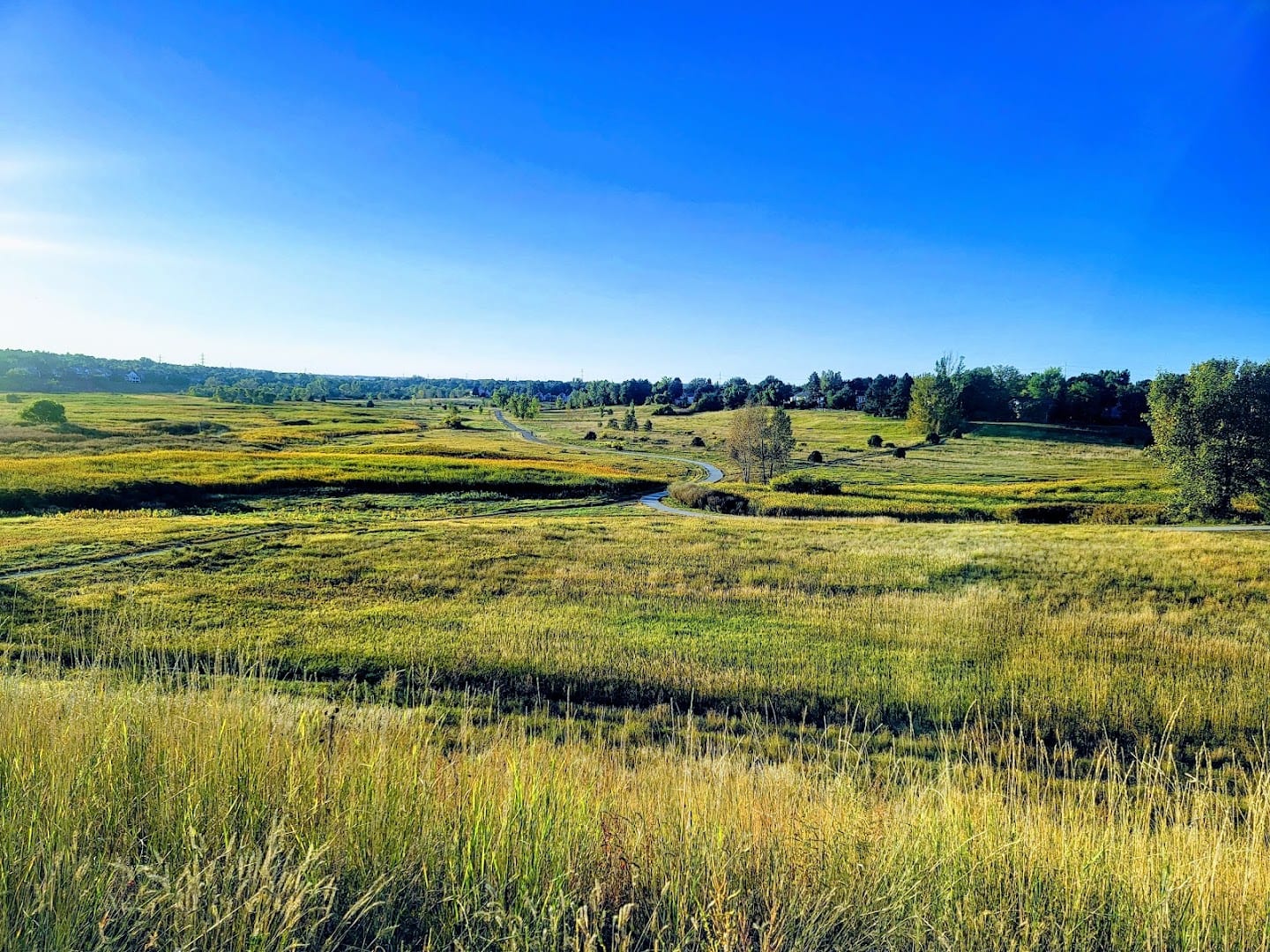 Willow Springs Open Space
