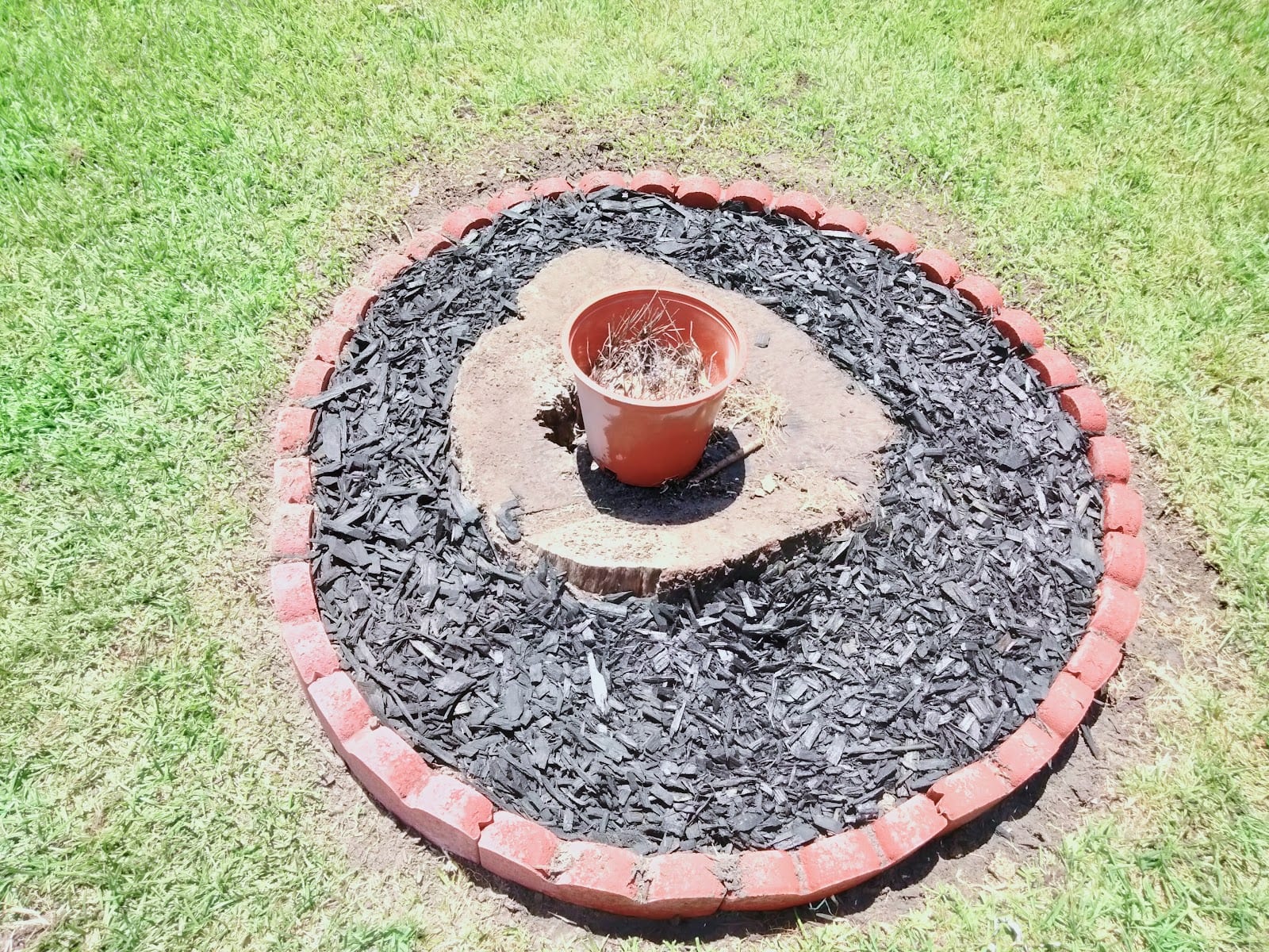 Raph's Lawn, Landscaping & More, photo 4