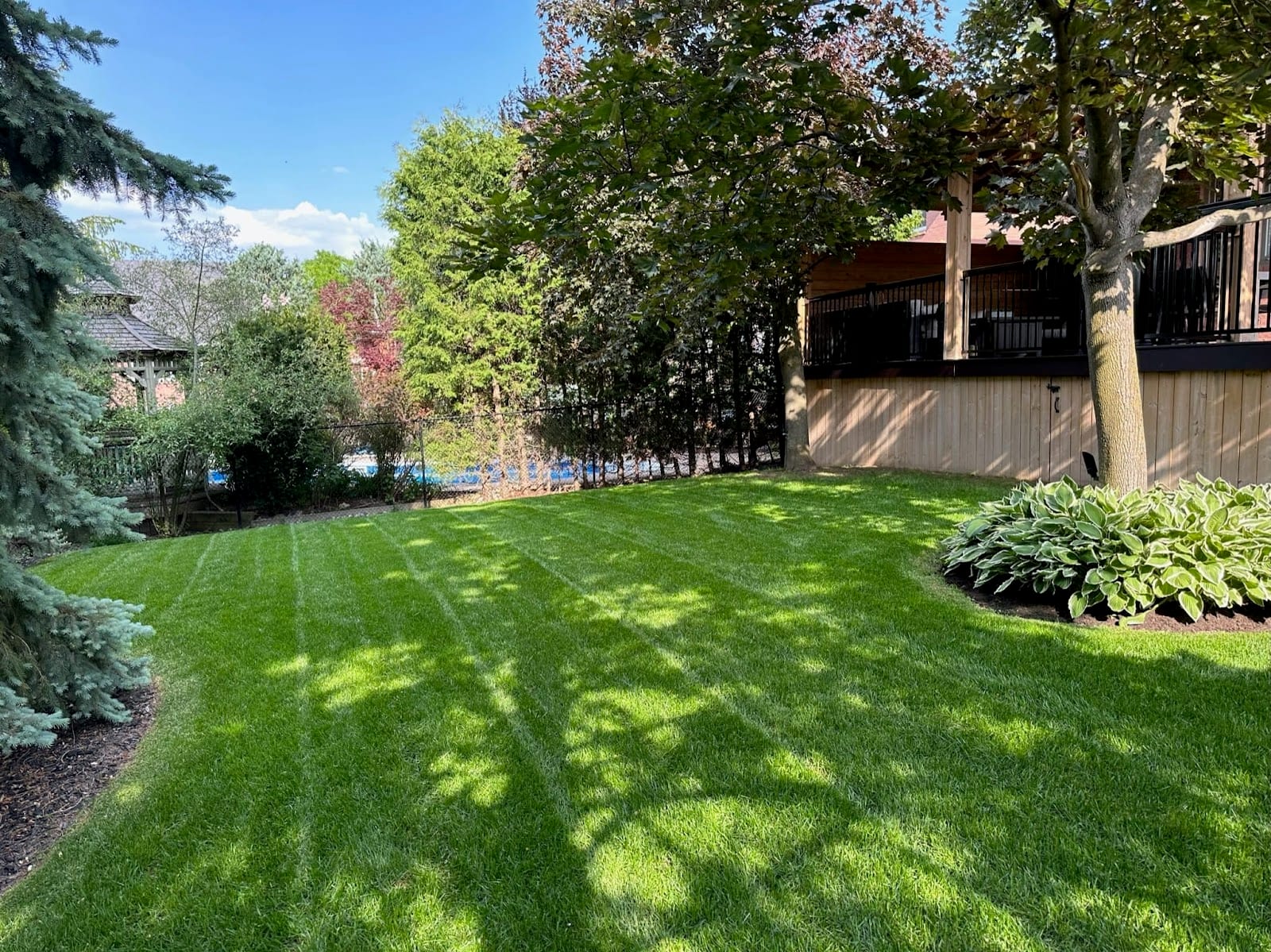 Lush Lawncare, photo 4