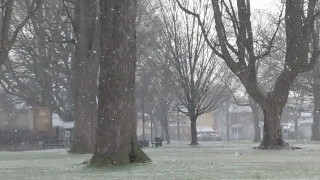 Jones Square Park., photo 2