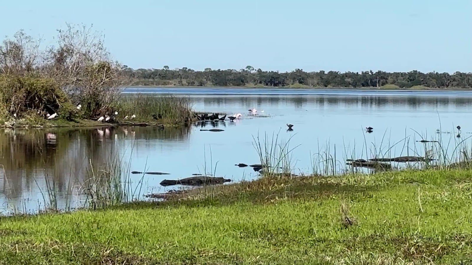 Myakka River State Park - Fox's Low Road Trail Head, photo 2