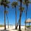 Sea Shell Condos