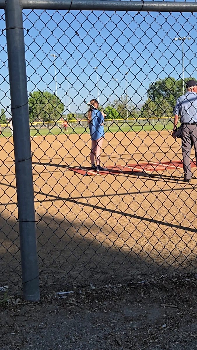 Field 4
