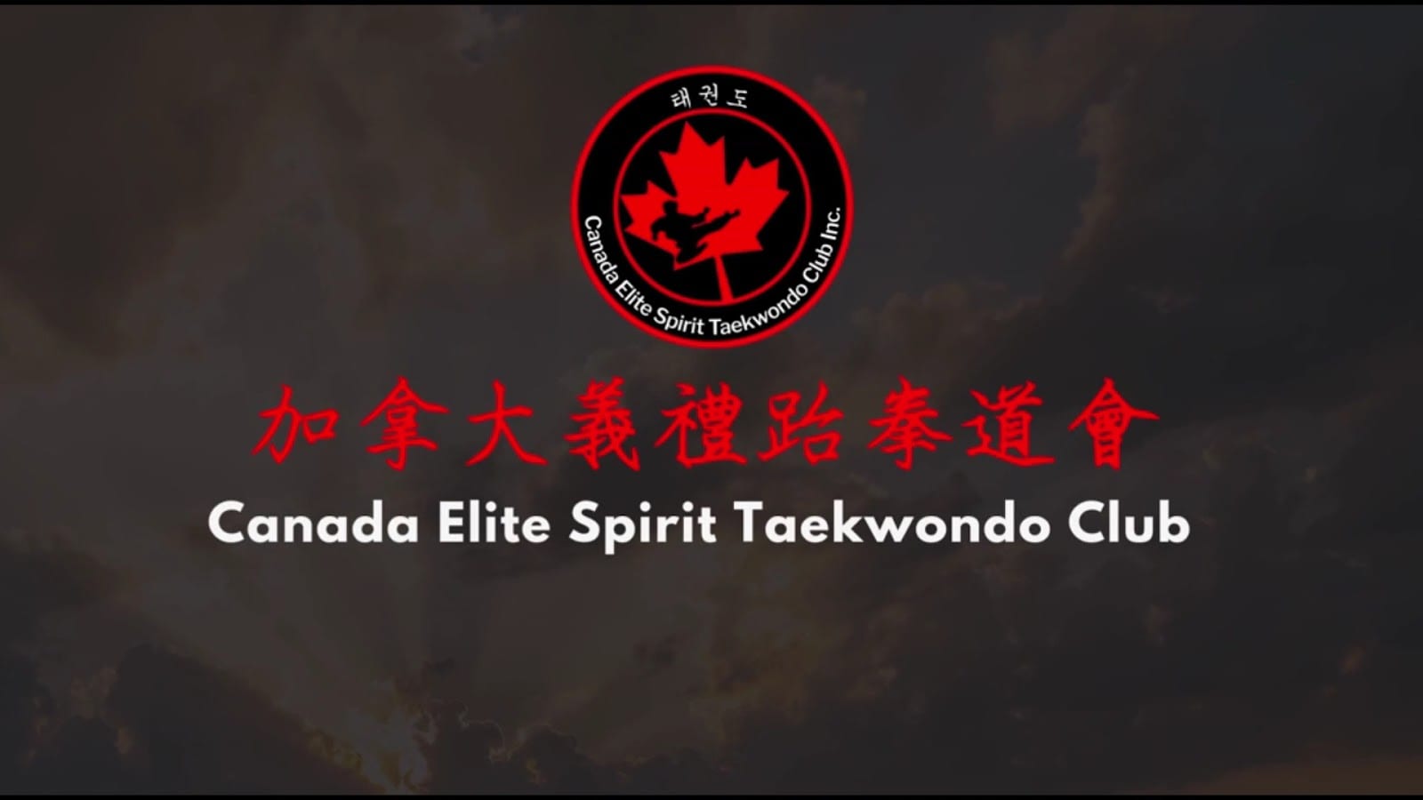 Canada Elite Spirit Taekwondo Club (Richmond Hill), photo 3