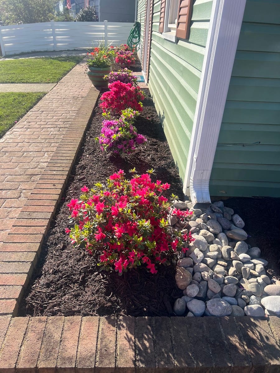 WC landscaping, photo 3