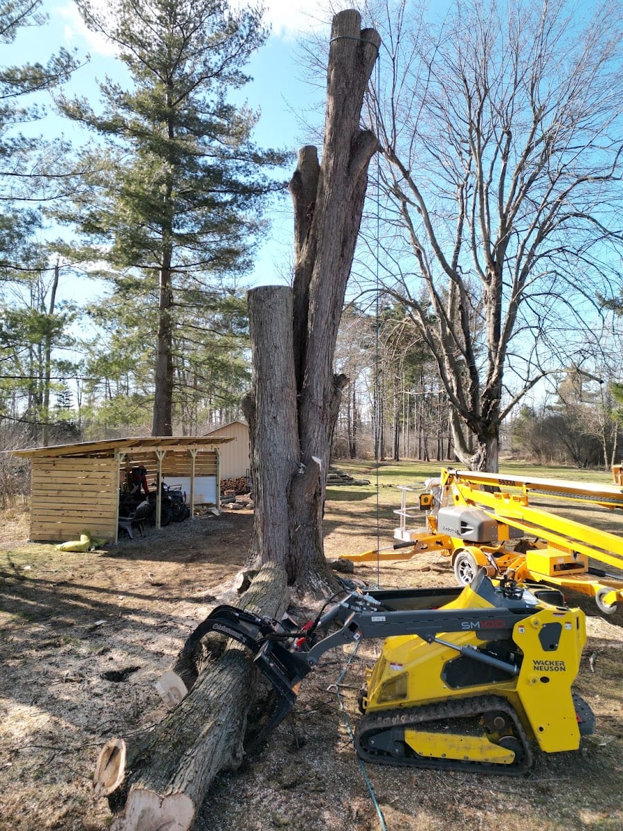 Huntsville Tree Service, photo 3