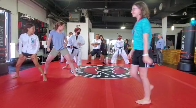 Black Belt Institute, photo 3