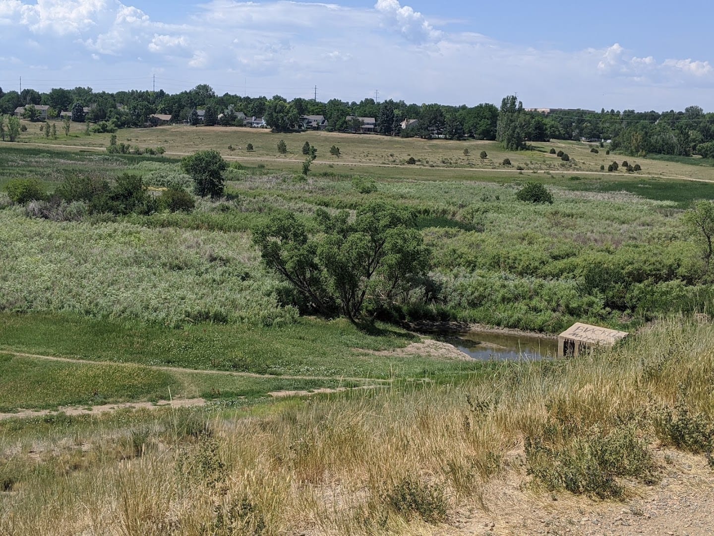 Willow Springs Open Space, photo 3
