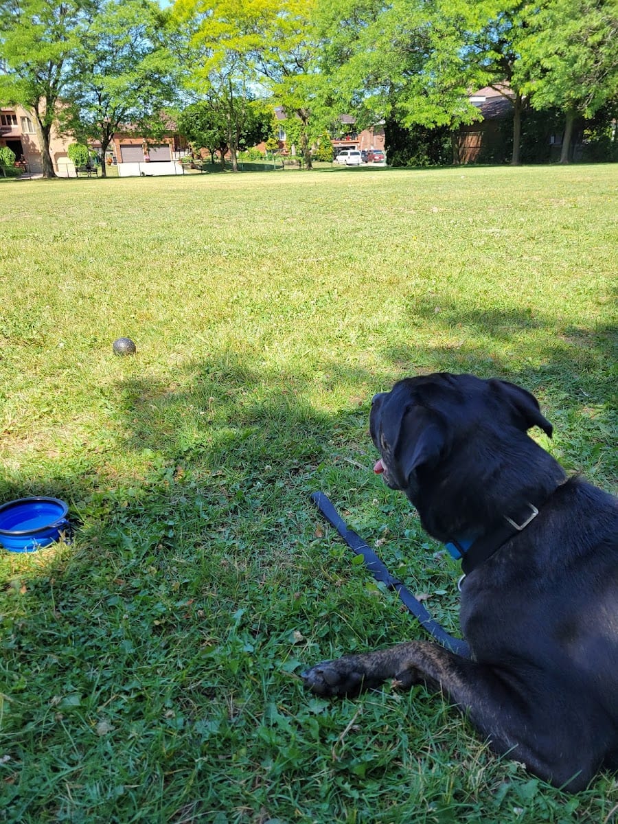 Conlands Parkette, photo 2