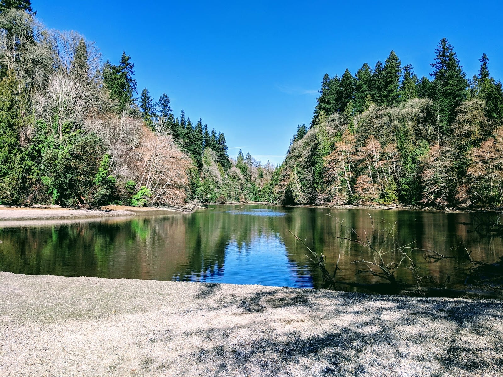 Squaxin Park