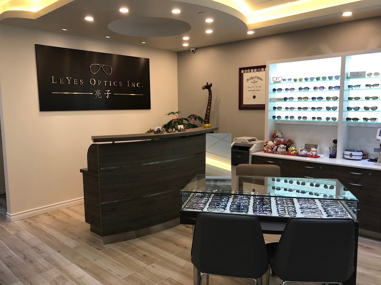 LeYes Optics Inc.