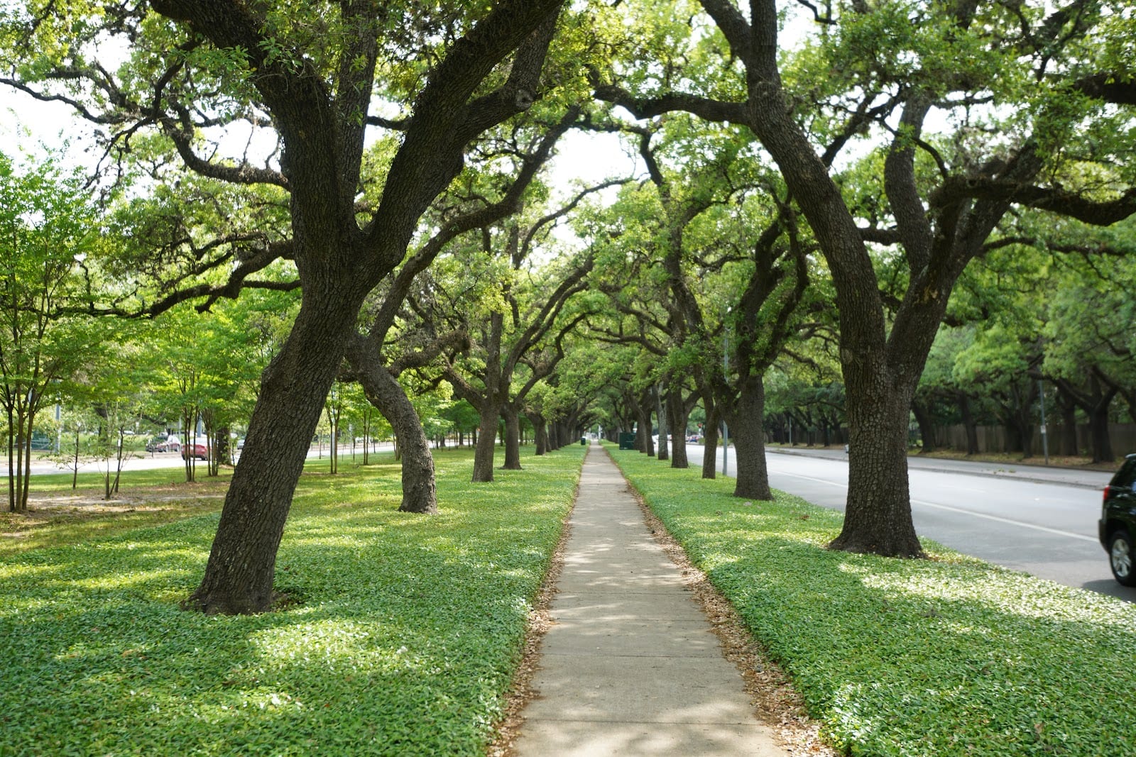 Cravens Parkway