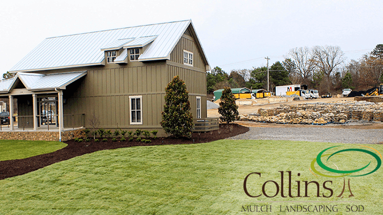 Collins Landscape, photo 2