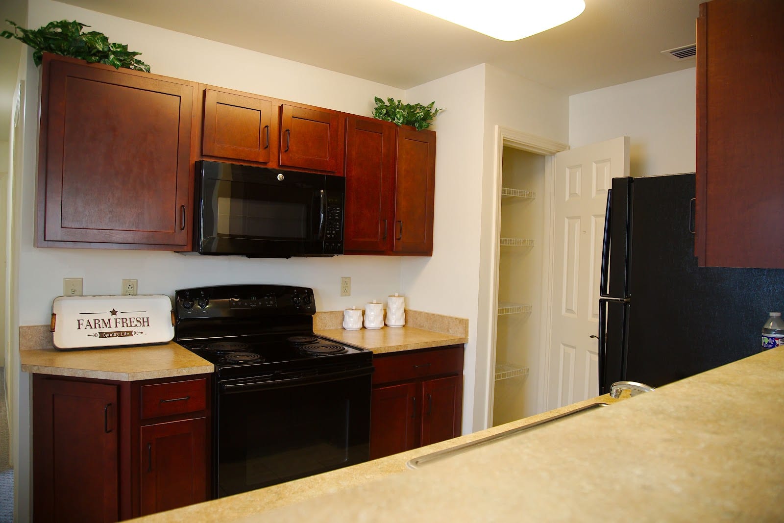 Bethany Pointe Health Campus, photo 4