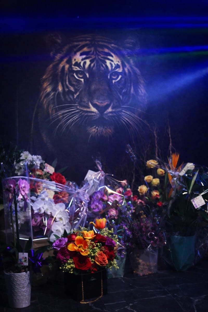 Cavalli Lounge, photo 4