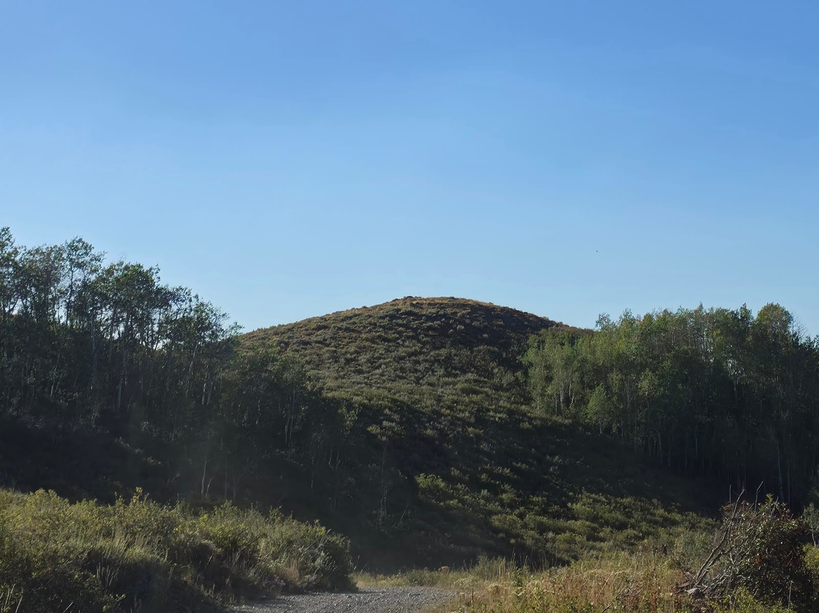 Chipmunk Hill