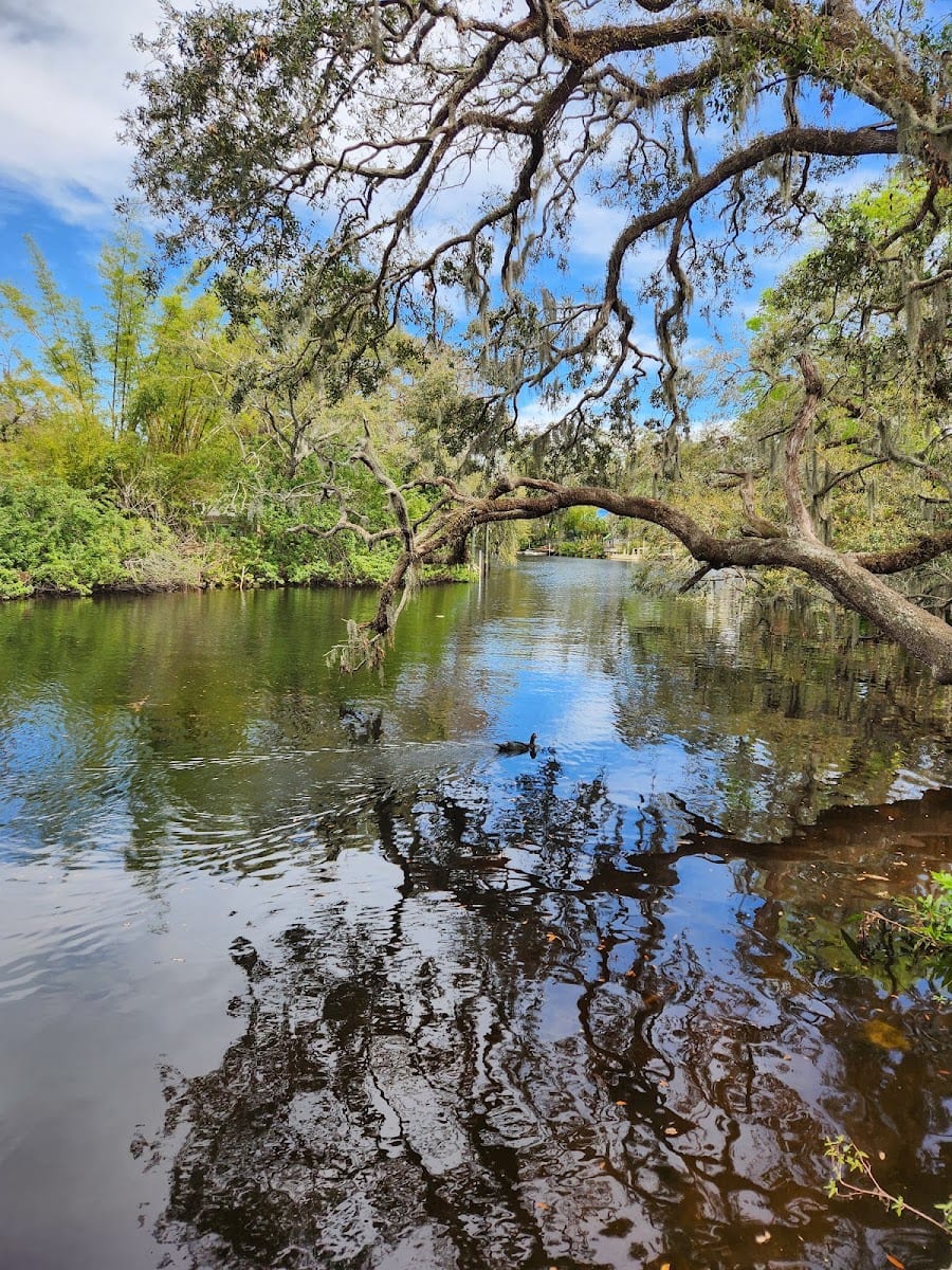 Patterson St Park