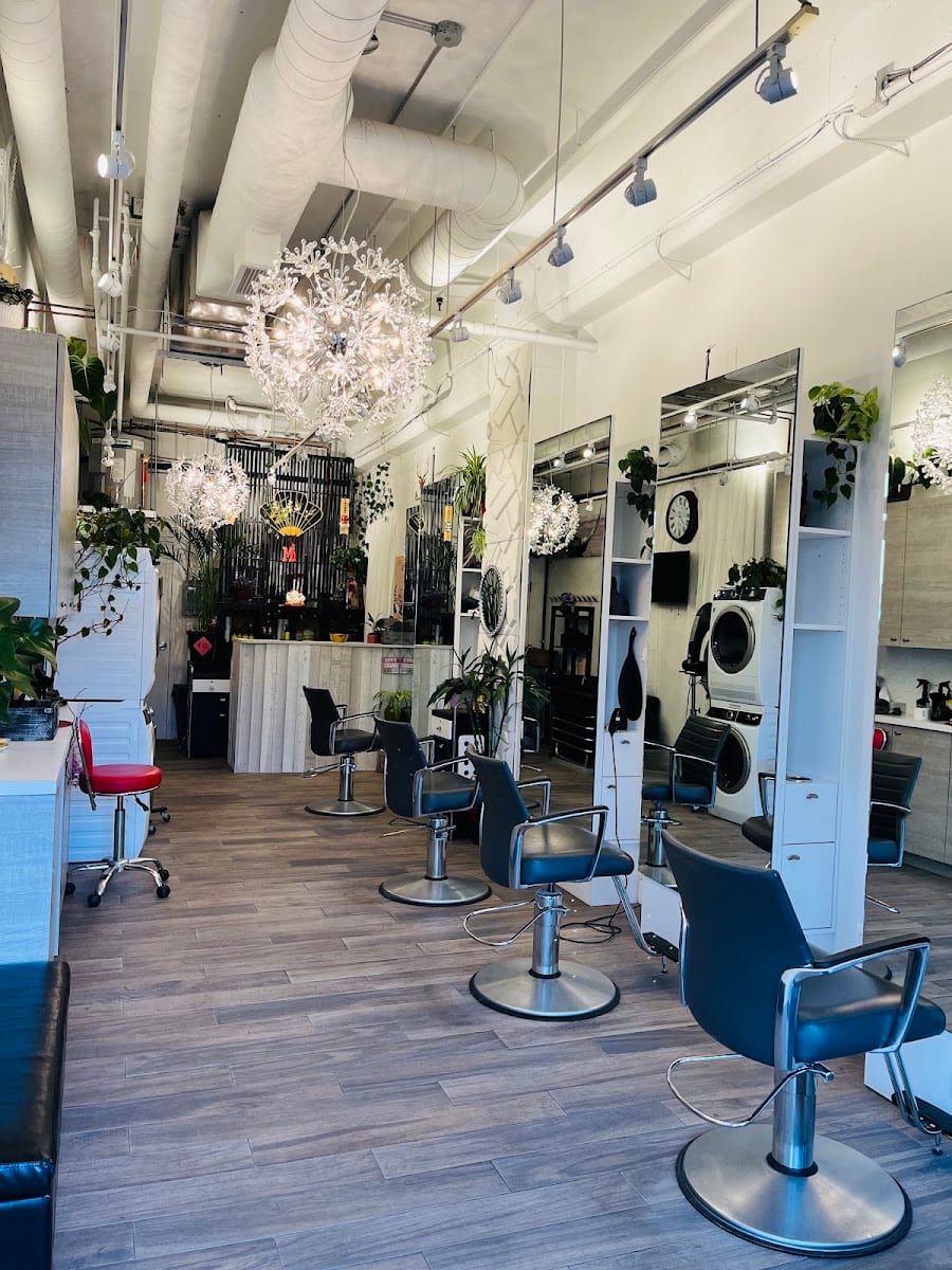 Mike’s Hair Salon, photo 2