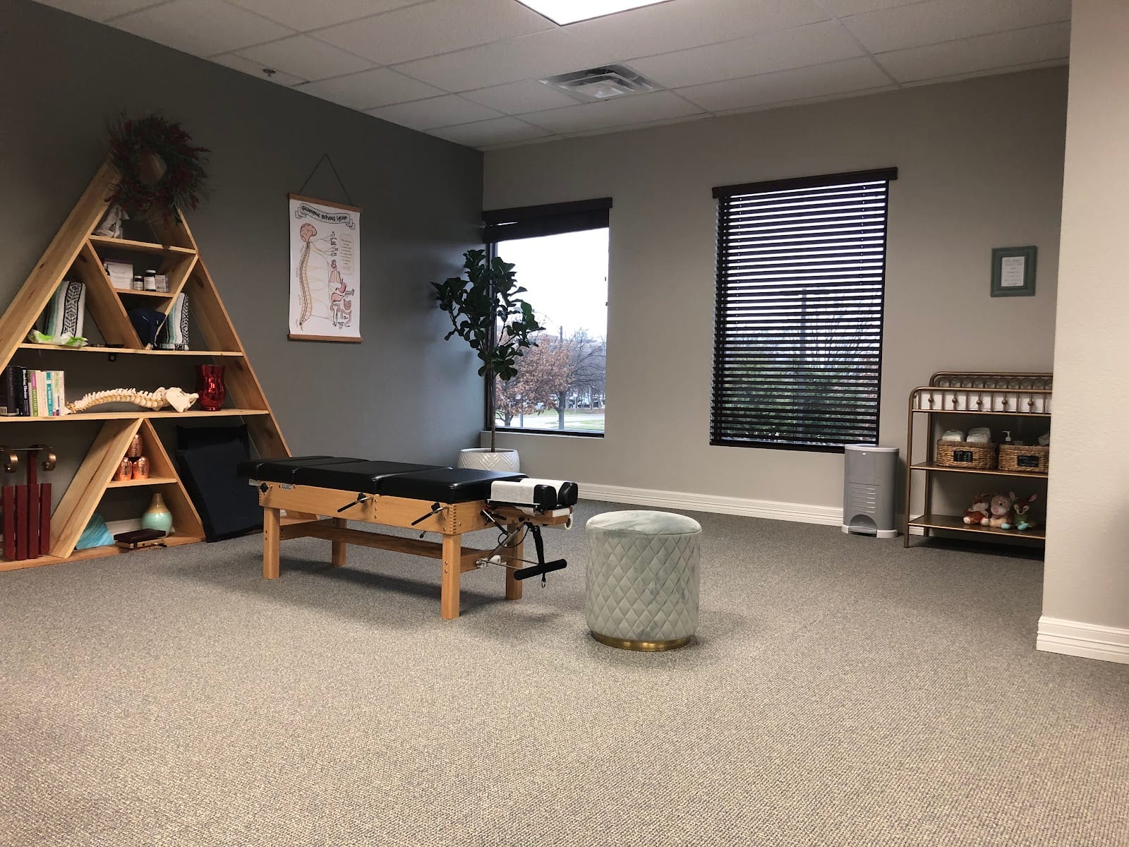 Triada Chiropractic for Women and Children, photo 2