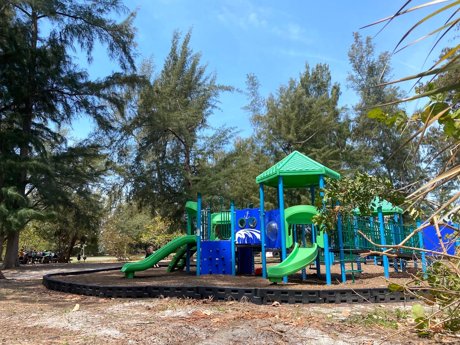 Christopher and Jarrod Ditmars Playground