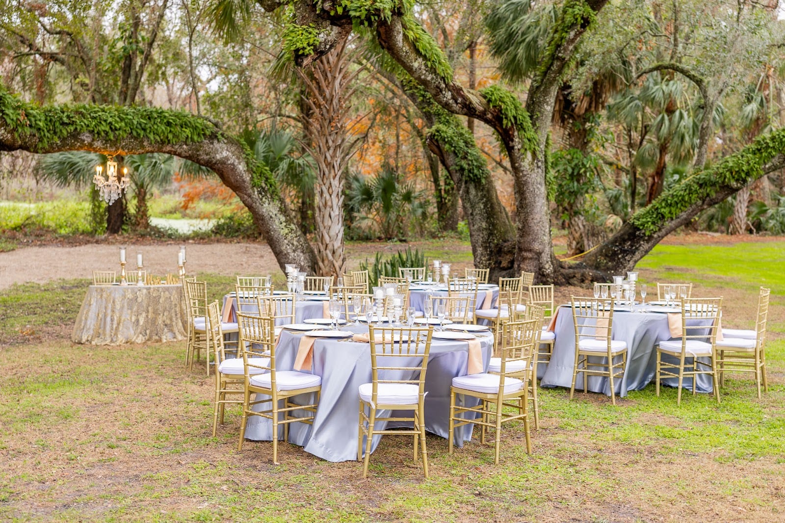 Under the Oaks Wellness and Events