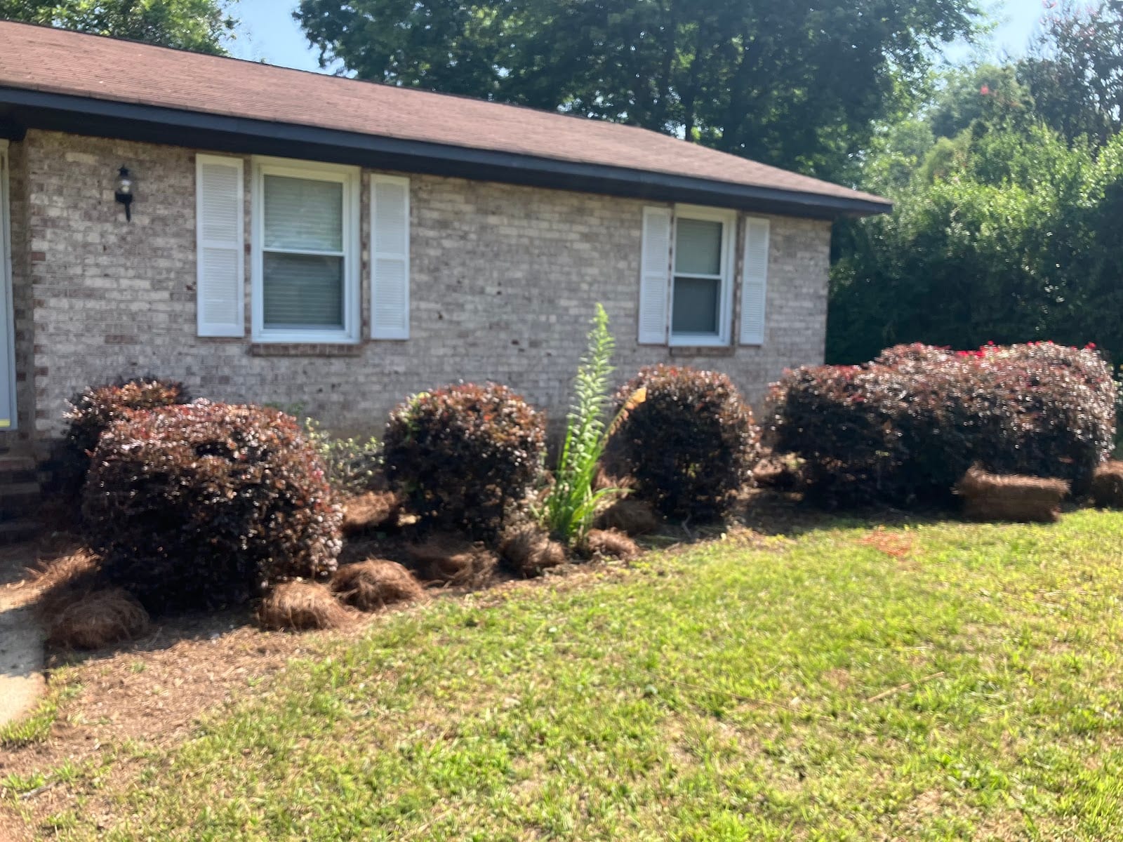 S & S Lawn & Land services LLC, photo 2