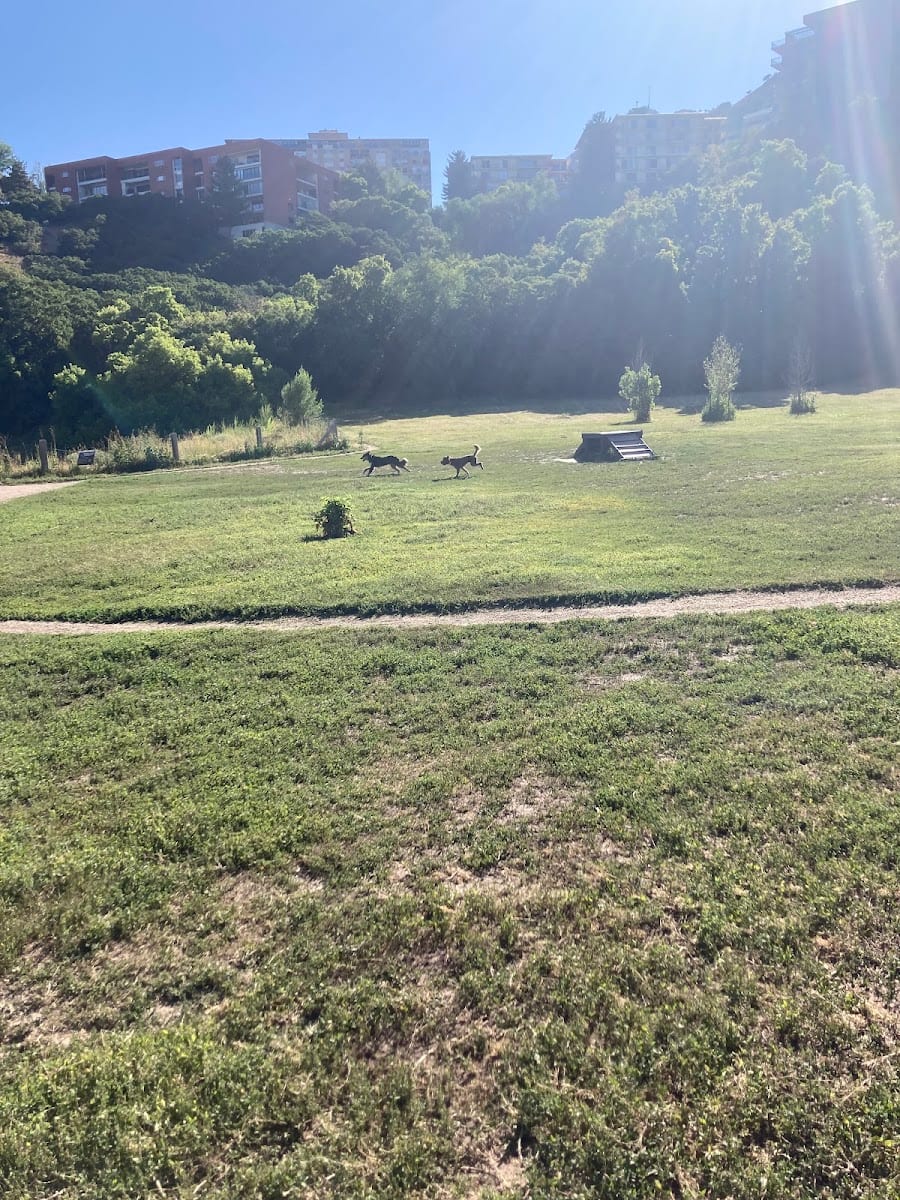 Rotary Glen Dog Park, photo 4