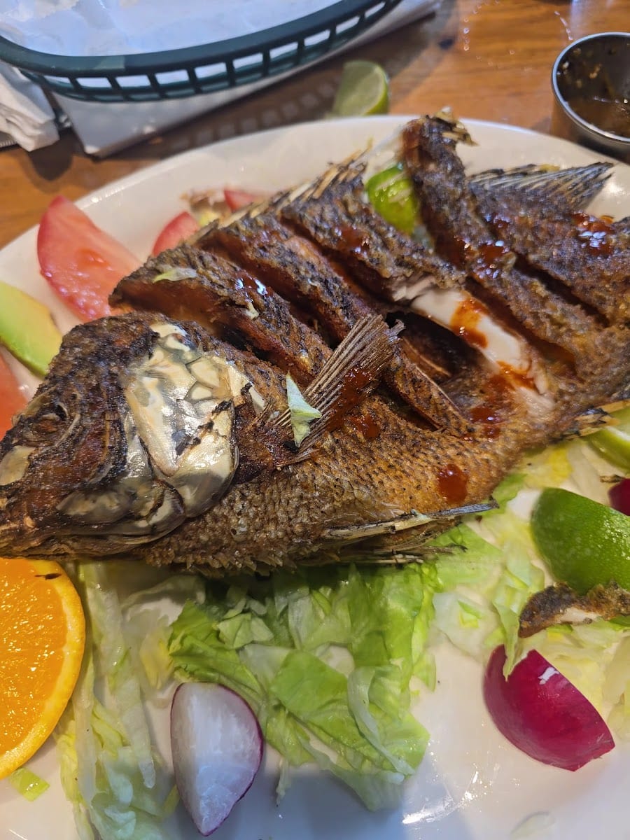 Taquería Maria, photo 2