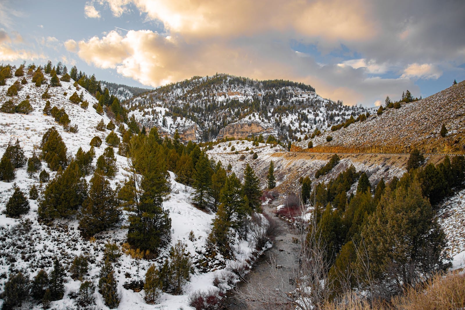 Blind Hollow Trailhead