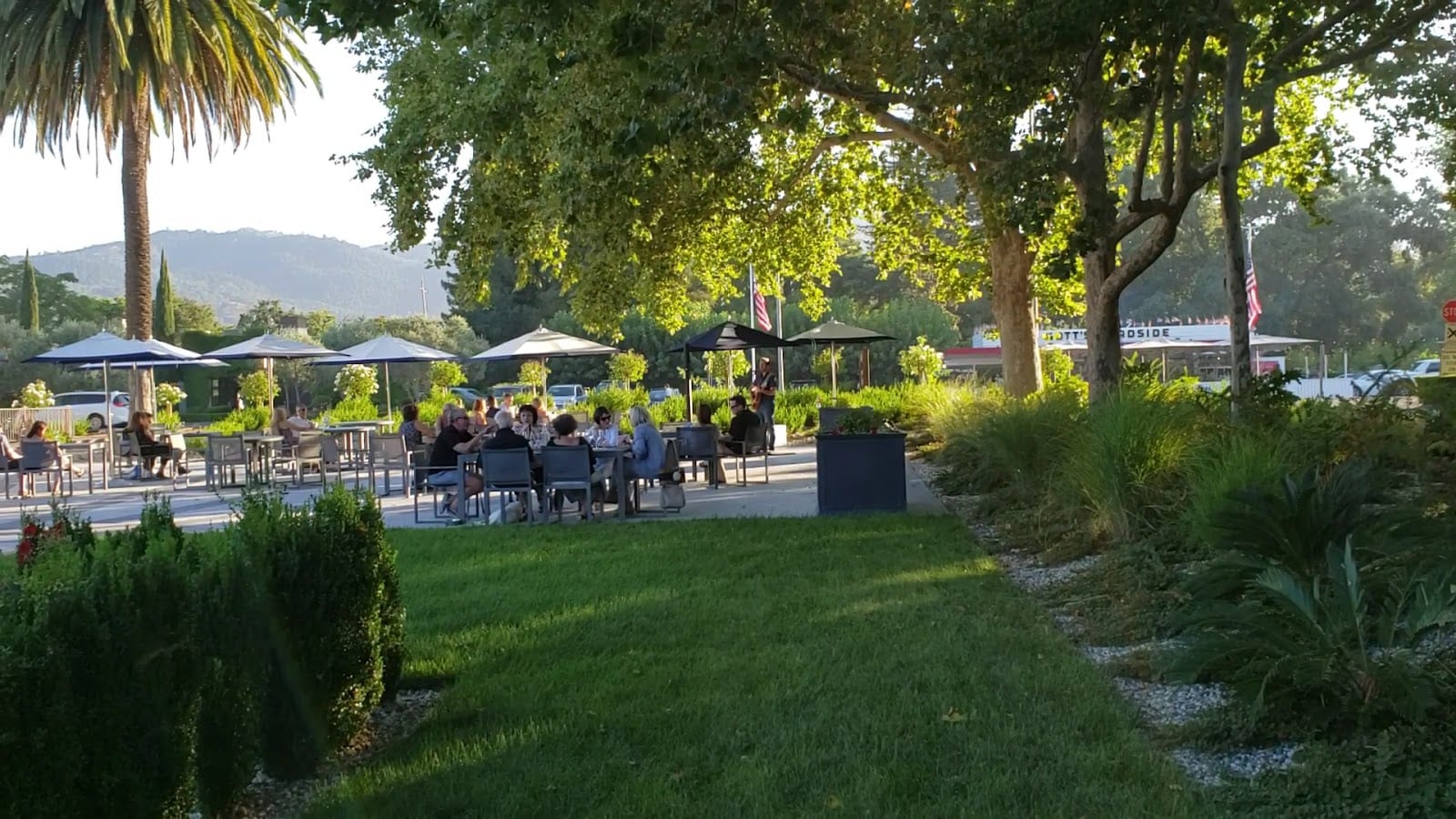Merryvale Vineyards, photo 3