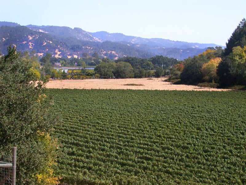 Calistoga Realty Co. Inc.