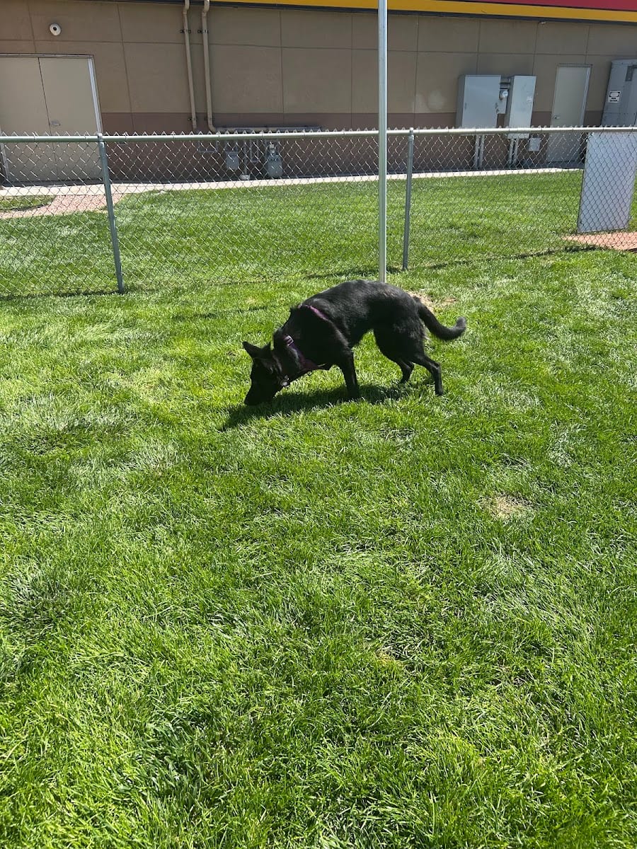 Dog Park at Love's Travel Stops