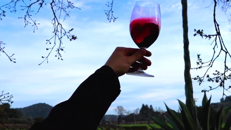 PlumpJack Estate Winery, photo 3