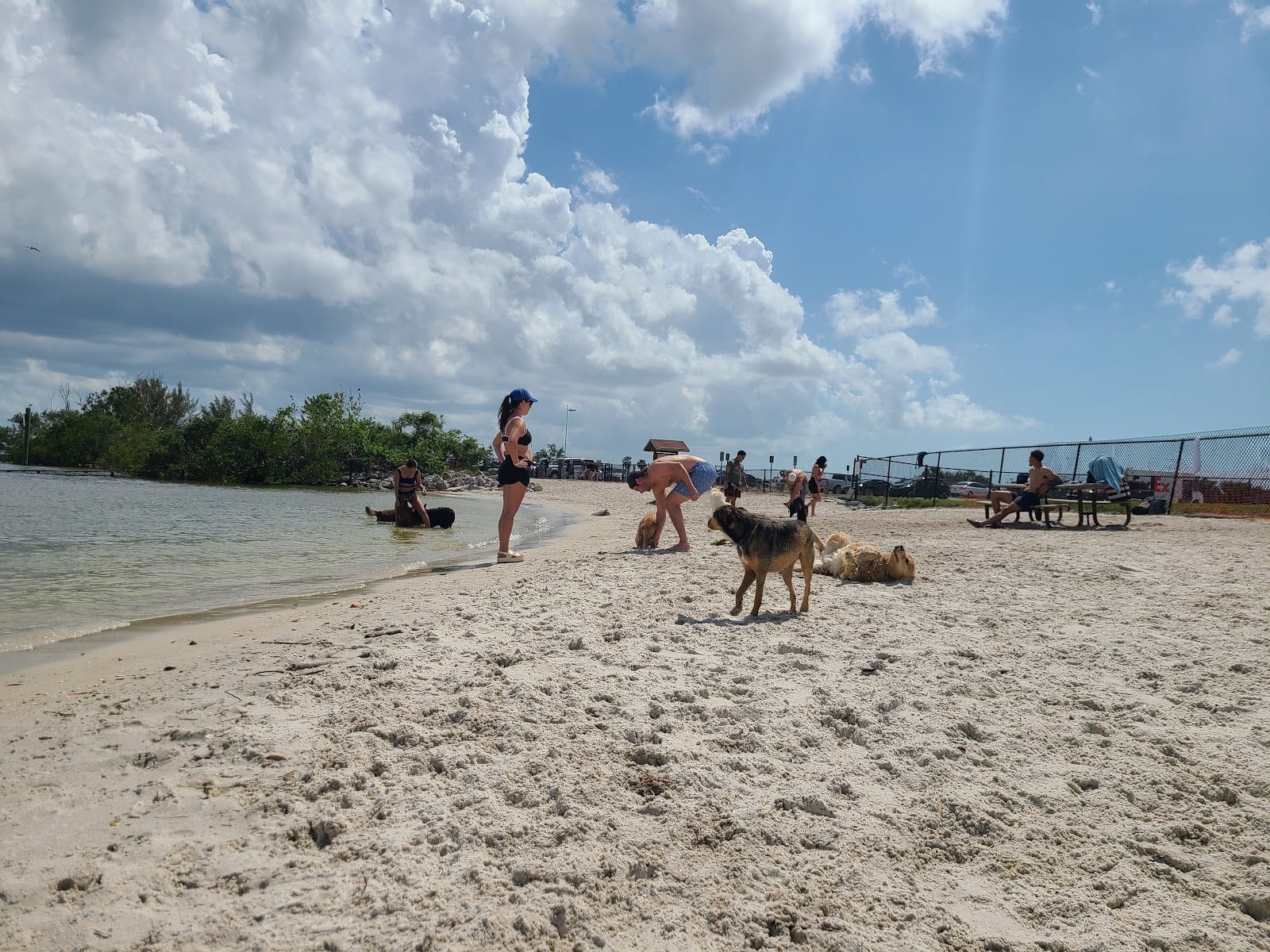 Davis Dog Beach