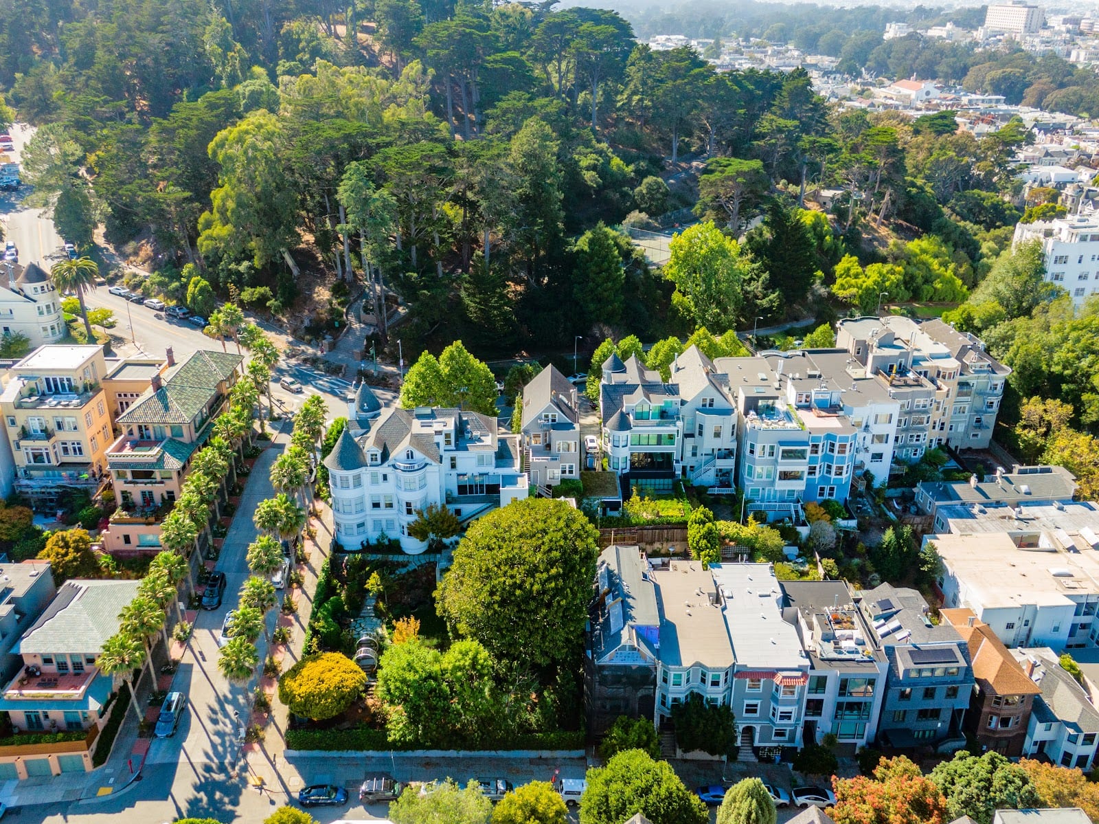 John DiDomenico, San Francisco Real Estate, photo 3